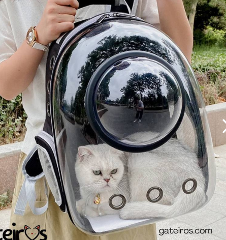 Mochila Para Transportar Tus Mascotas
